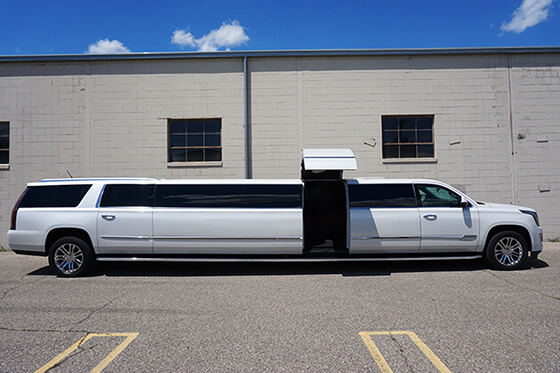 20-passenger limos